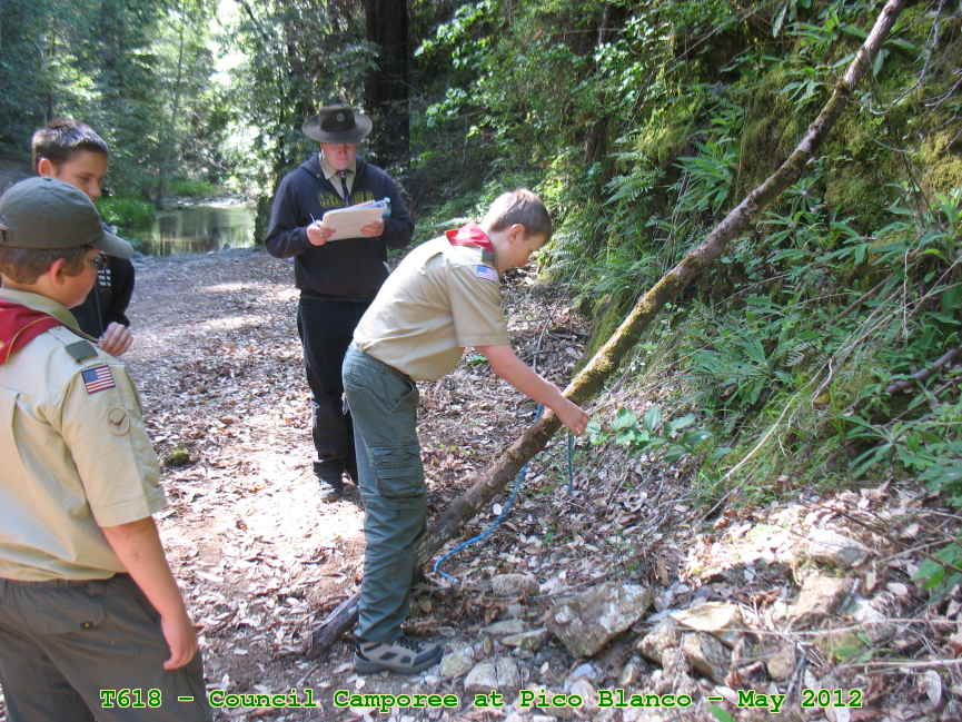 Picture 0036