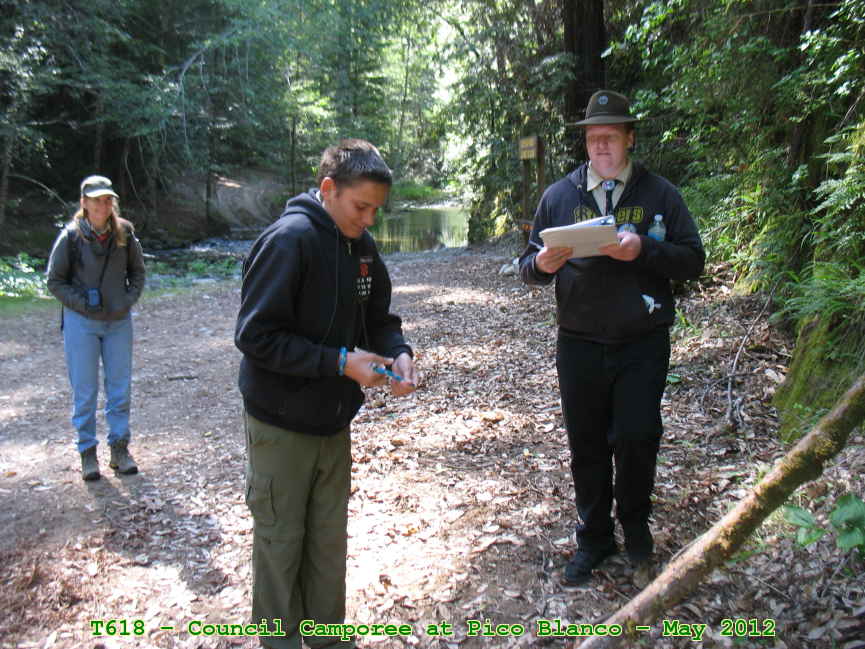 Picture 0037