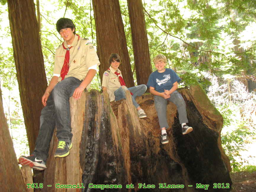 Picture 0042