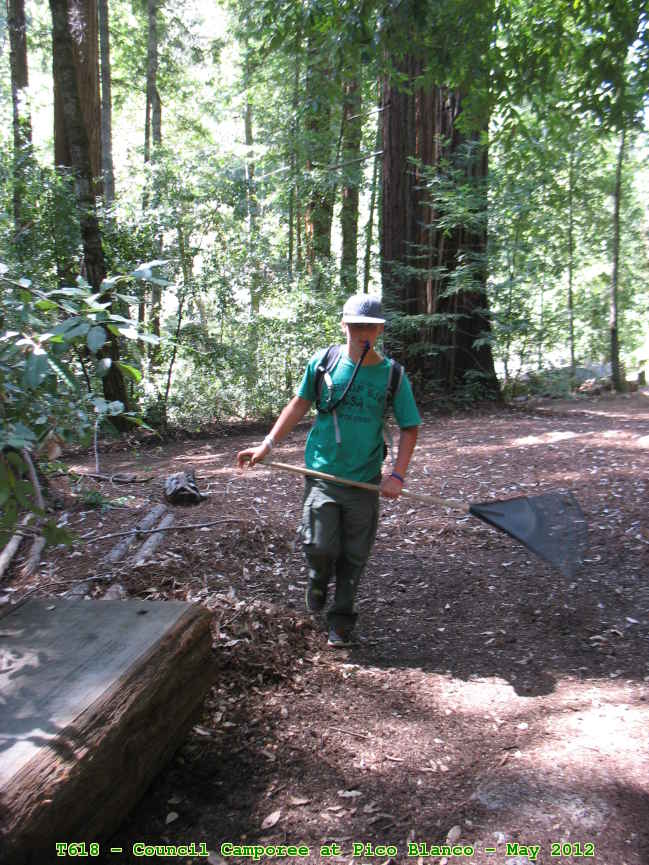 Picture 0044
