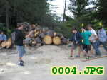 Picture 0004