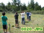 Picture 0020