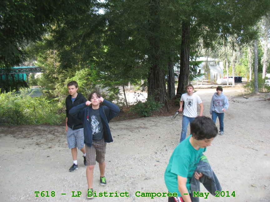Picture 0002