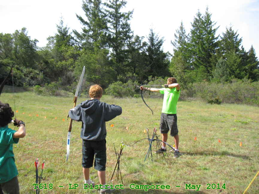 Picture 0008