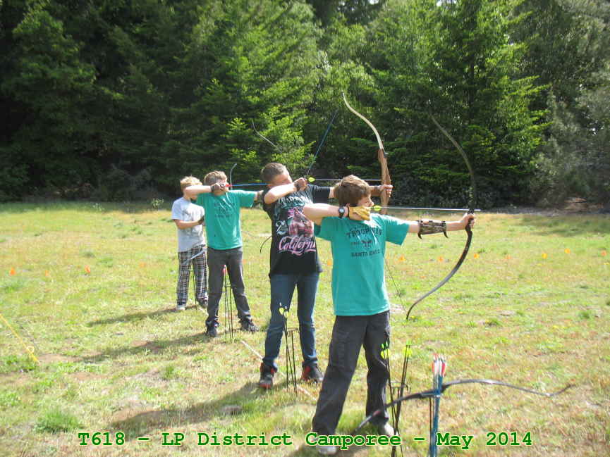 Picture 0013