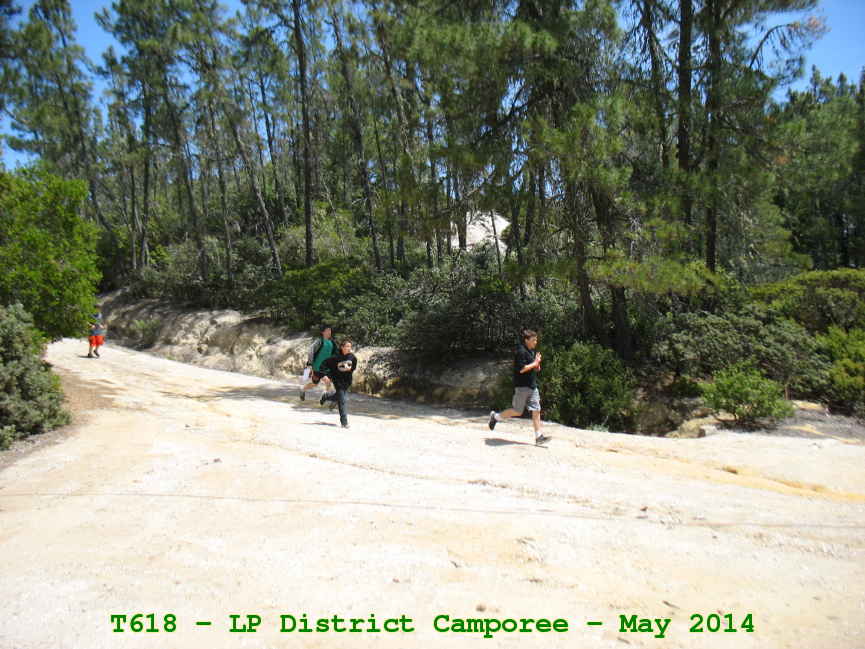 Picture 0029