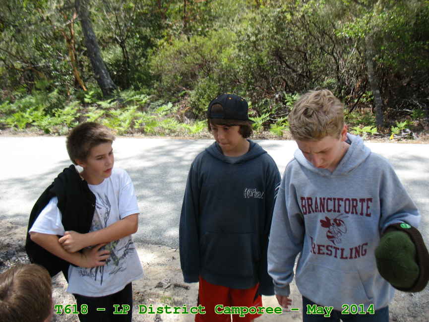 Picture 0030