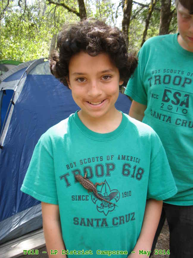 Picture 0034