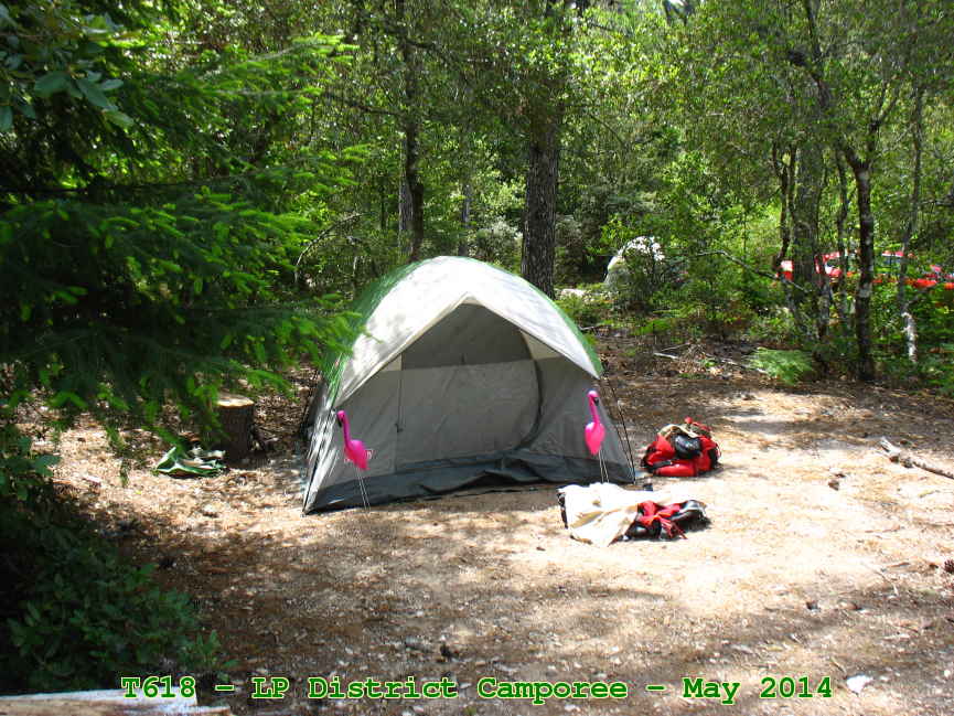 Picture 0044