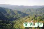 Picture 0005
