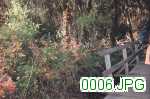 Picture 0006