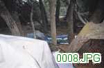 Picture 0008