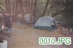 Picture 0010