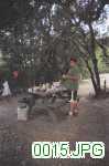 Picture 0015