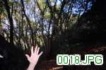 Picture 0018