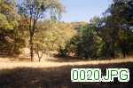 Picture 0020