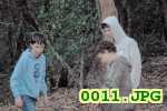 Picture 0011