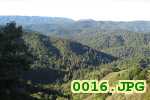 Picture 0016
