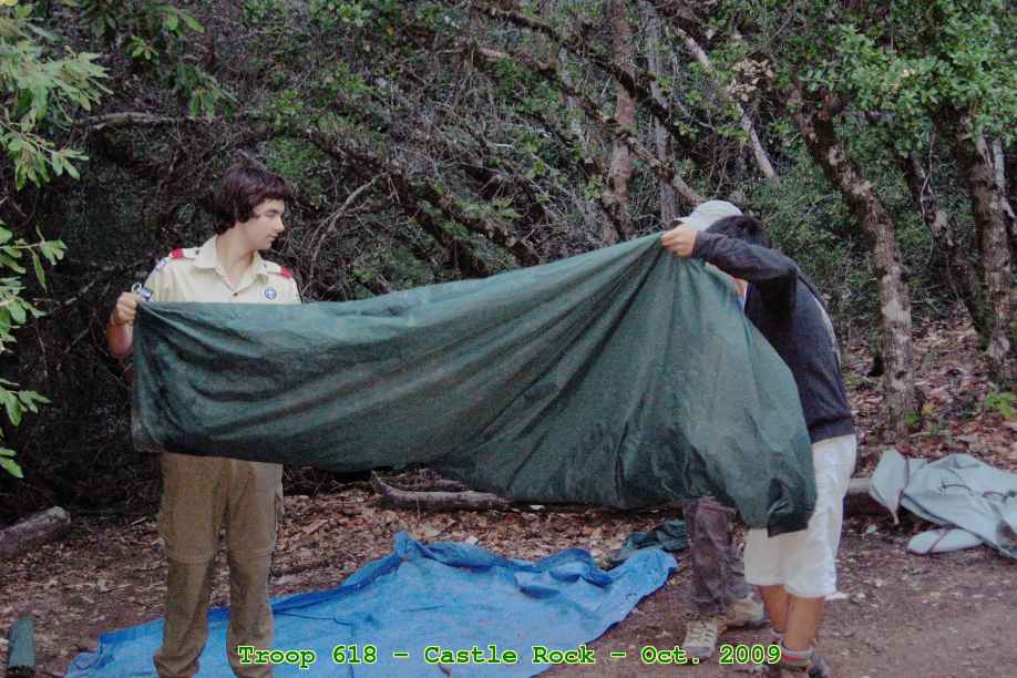 Picture 0010