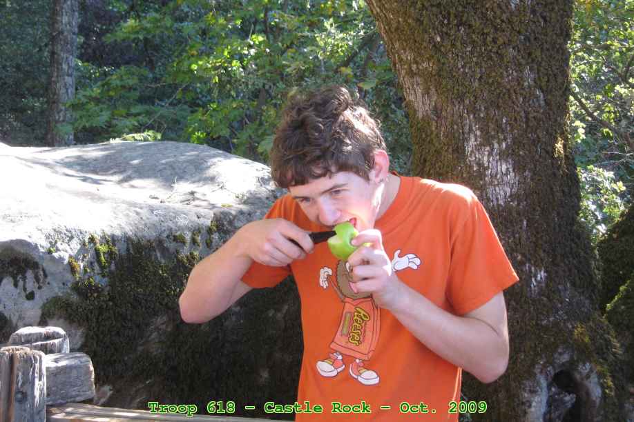 Picture 0019
