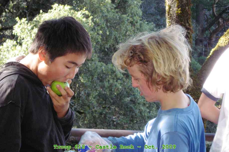 Picture 0021