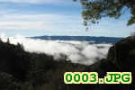 Picture 0003