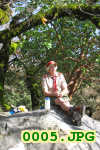 Picture 0005