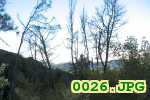 Picture 0026