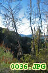Picture 0036