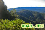 Picture 0043