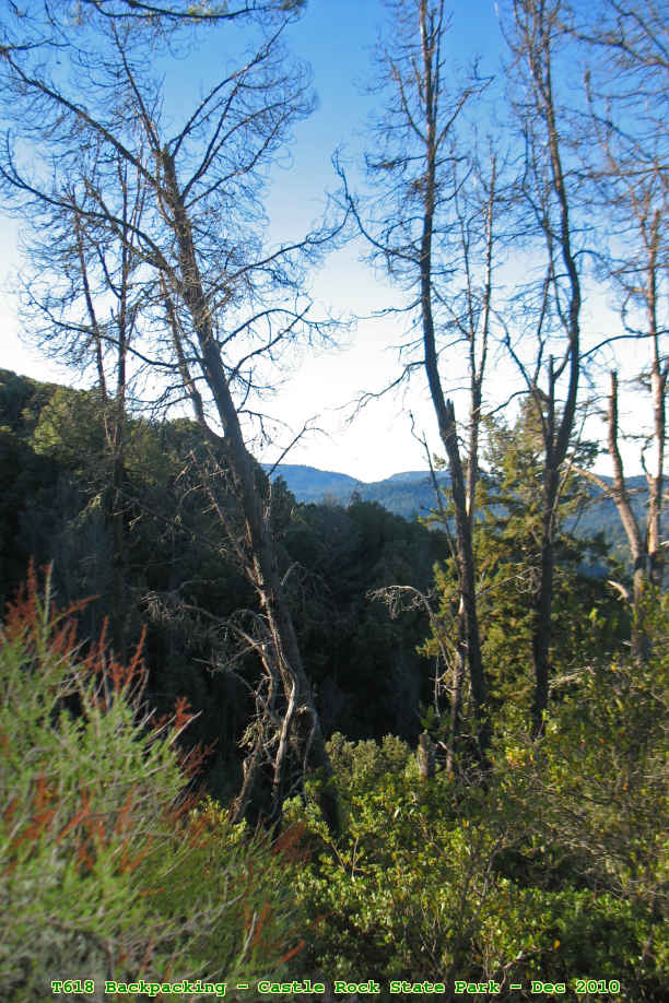 Picture 0036