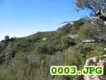 Picture 0003