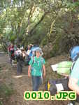 Picture 0010
