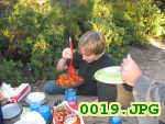 Picture 0019