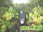 Picture 0025