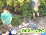 Picture 0027