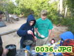 Picture 0036