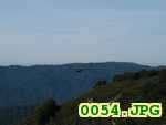Picture 0054