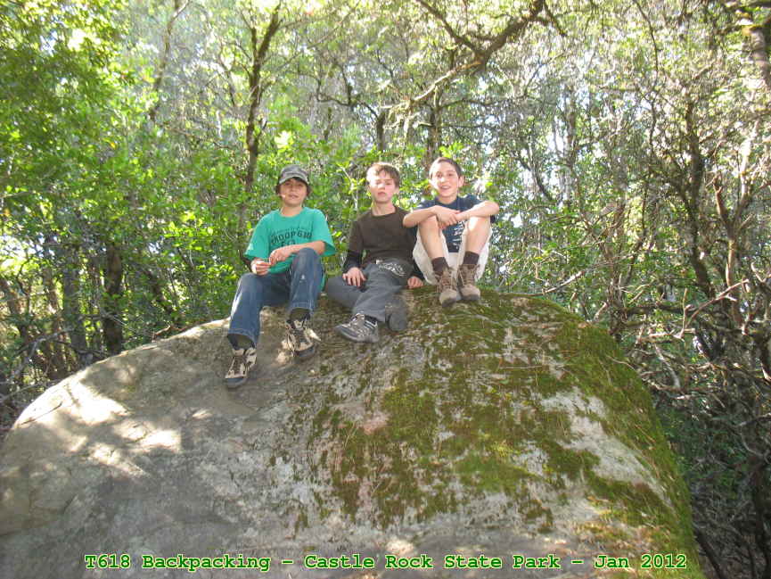 Picture 0008