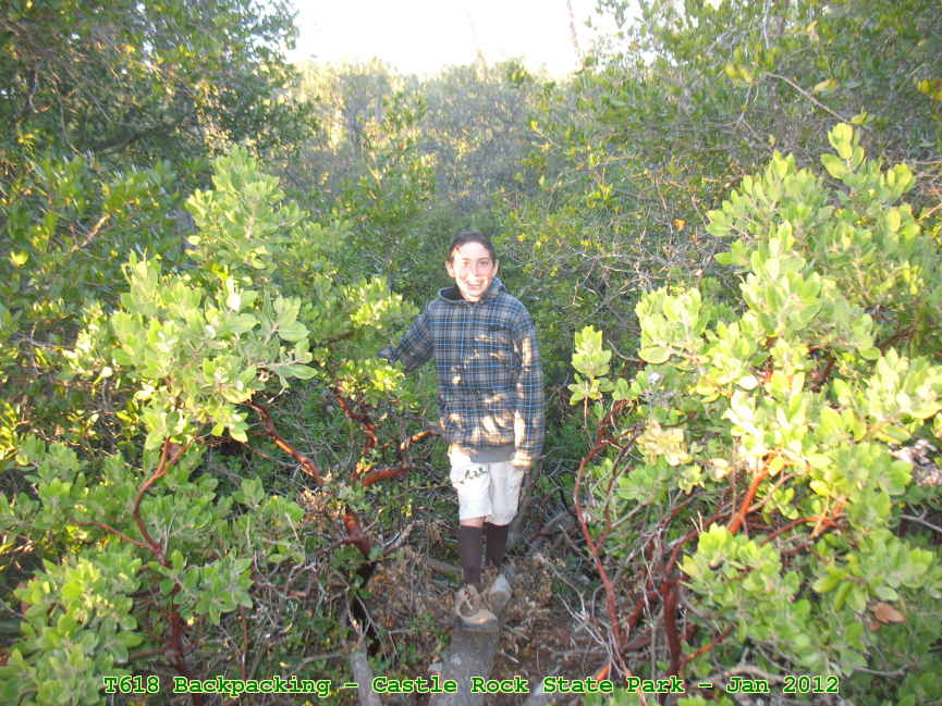 Picture 0025