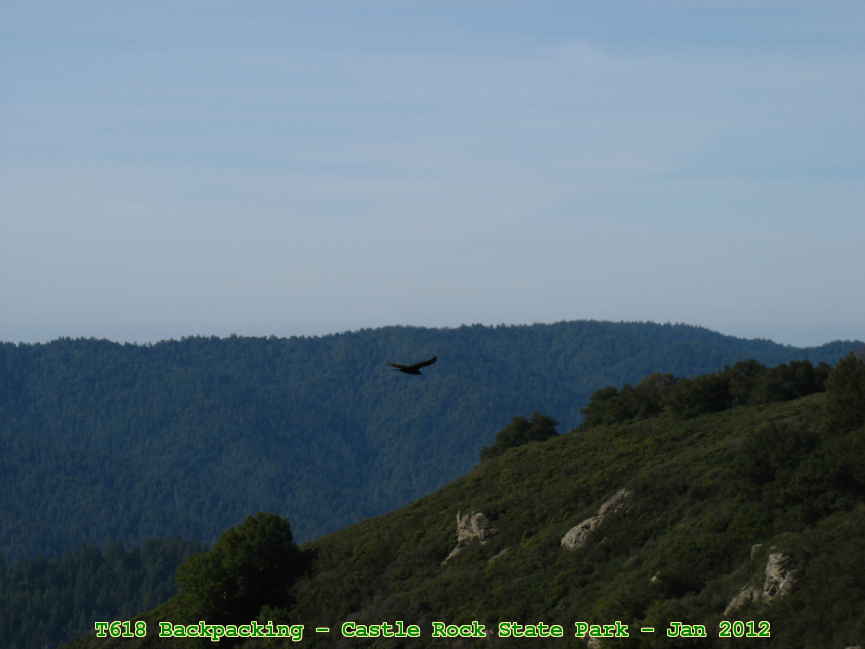 Picture 0054