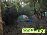 Picture 0005