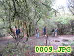 Picture 0009