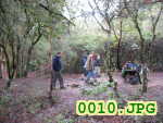 Picture 0010
