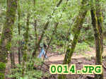 Picture 0014