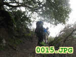 Picture 0015