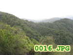 Picture 0016