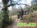 Picture 0020