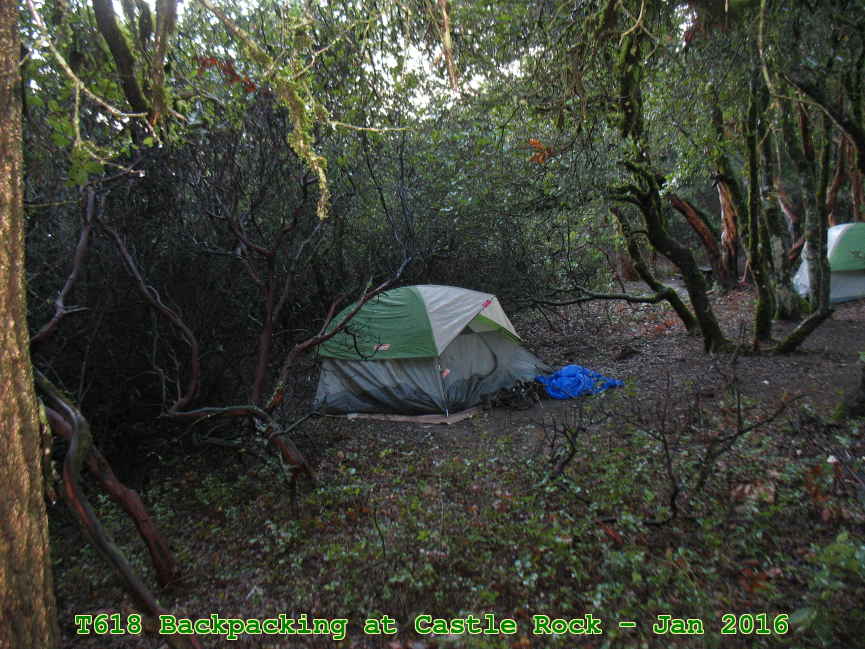 Picture 0005
