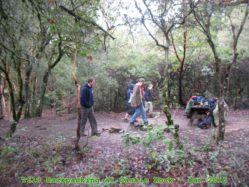 Picture 0010